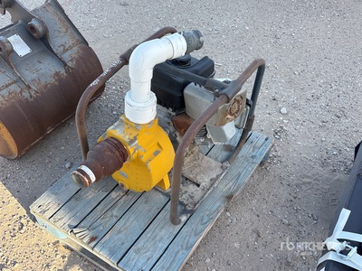 Teel 3P600E Water Pump