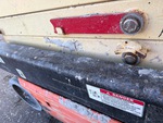 General Appearance with Paint
