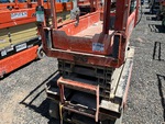 General Appearance with Paint