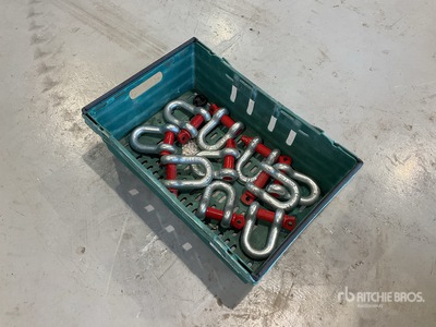 Quantity of (10) D-Shackles (Unused)