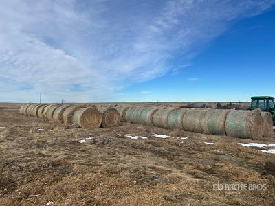 Quantity of 1583 lb Unthrashed Yellow Pea Bales