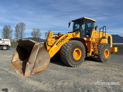 2016 Hyundai HL980XT Pala cargadora
