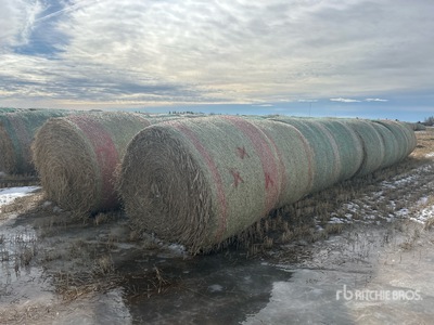 Quantity of (34) 1550 lb Green Feed Durum Bales