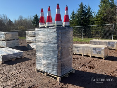 Quantity of (250) 2026 TSC Traffic Cones (Unused)