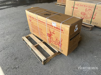 2026 EV Electric Scooter (Unused)