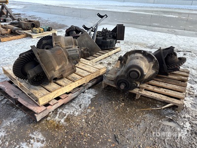 Quantity of Differentials