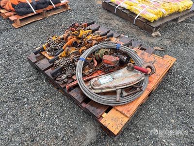 Quantity of (11) Chain Hoist and (1) Cable Hoist ケーブル