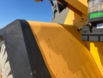 General Appearance with Paint