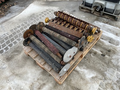 Quantity of (22) Seed Hawk Shanks