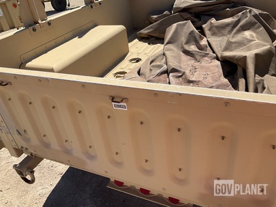 General Appearance with Paint