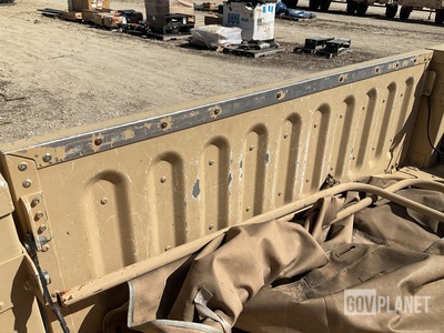 General Appearance with Paint