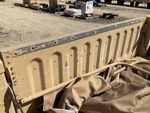 General Appearance with Paint
