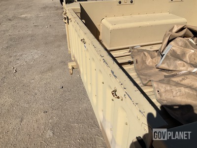 General Appearance with Paint