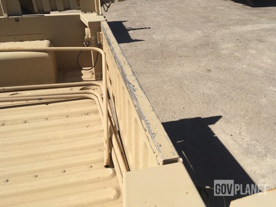 General Appearance with Paint