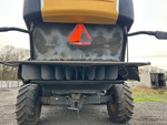 General Appearance with Paint