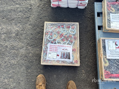 Quantity of (30) Heavy-Duty D-Ring Shackle