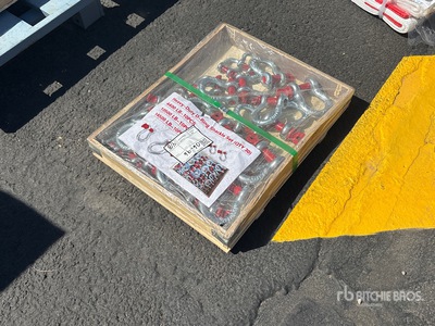 Quantity of (30) Heavy-Duty D-Ring Grillete (Unused)