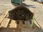 General Appearance #3