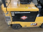 General Appearance with Paint