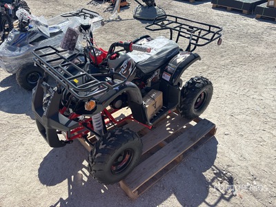 Tao D125 4x2 Geländefahrzeug