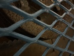 Feeder with