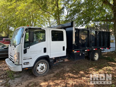 2021 Isuzu NPR 4x2 Crew Cab شاحنة قلابة حمولة خفيفة