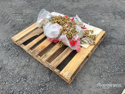 Quantity of 2026 SELA LB9200 Ratchet Binders & Chains Varios, tienda, almacen, consumidor (Unused)