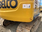 General Appearance with Paint