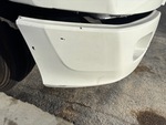 General Appearance with Paint