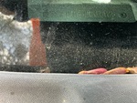 General Appearance with Second Serial Number/VIN Photo