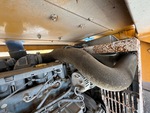 Engine with Cooling System Leaks