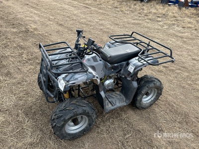 2007 Zhejiang Yonkang ATV