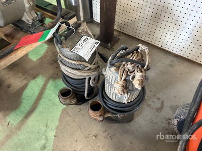 Quantity of (2) Electric Submersible Water Pump