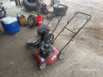 Briggs & Stratton 11A Walk-Behind Cortacesped