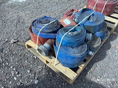 Quantity of Manguera