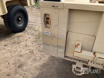 General Appearance with Paint