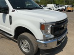 General Appearance with Paint