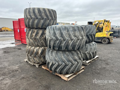 Quantity of (7) Firestone Flotation 23DT 48x31.00-20 Tires