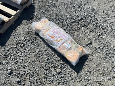 Quantity of (10) 2.4 in x 33 ft Ratchet Strap (Unused)