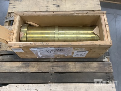 Ecolaire S60066PC9 Main Bearing