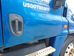 General Appearance with Paint