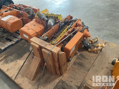 Beebe International ULA020MSR6W 2 ton Chain Hoist