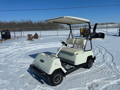 Yamaha Golf Cart