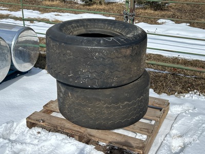Quantity of (2) Firestone 36x16-17.5 Reifen