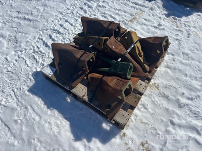 Quantity of Excavator Teeth