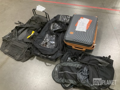 (19) Assorted Luggage Bags