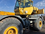 General Appearance with Paint