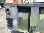 General Appearance with Paint
