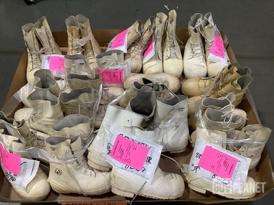 (16) Pairs of Extreme Cold Weather Boots