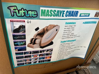 Future FT-S13 Electric Massage Chair